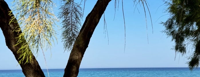 Possidi Beach is one of Halkidiki beach.
