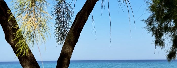 Possidi Beach is one of Halkidiki Beach.