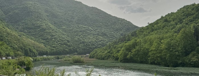 Ovčarsko-kablarska klisura is one of Out of Belgrade.