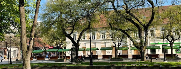 Gradski park is one of Najbolje iz Panceva.