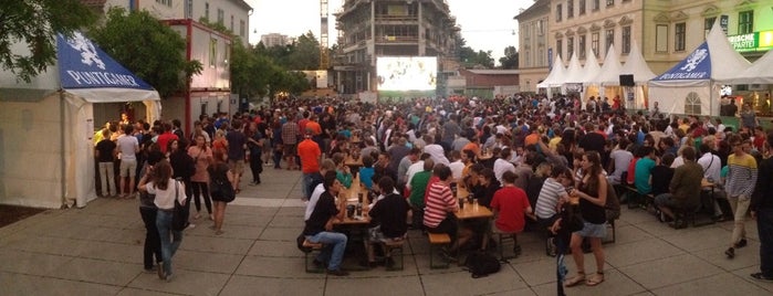 WM 2014 Public Viewing  is one of Lugares favoritos de Sveta.