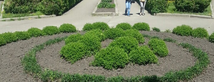 Ботанічний сад ім. О. Фоміна / O. Fomin Botanical Garden is one of Kyiv sights.