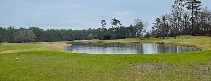 Tupelo Bay Golf is one of Top Picks for Disc Golf Courses 2.