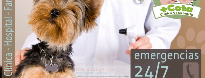 Clinica Veterinaria + Cota is one of Best places in Navojoa.