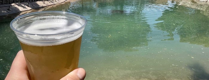 The 15 Best Places With Live Music In Albuquerque