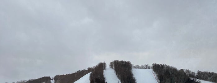 戸隠スキー場 is one of Toyokazu 님이 좋아한 장소.