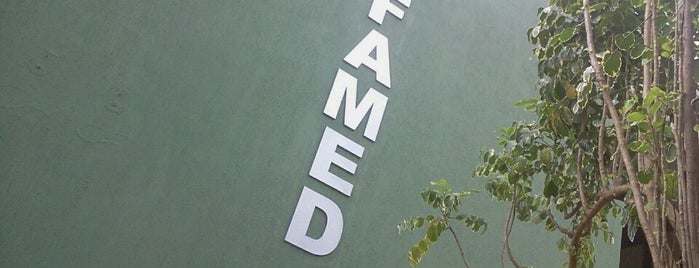 FAMED - Faculdade de Medicina is one of Profissionais by RAS.