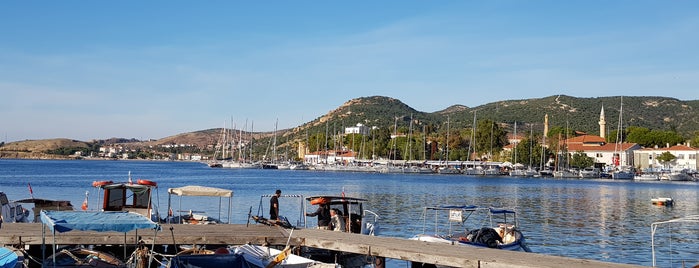 Eski Foça Marina is one of Posti che sono piaciuti a Ali Tayland.