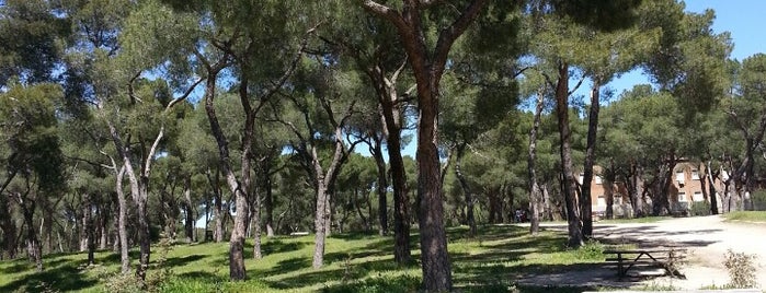 Parque Dehesa de la Villa is one of Madrid Capital 01.