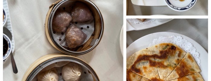 Dim Sum Palace is one of New York Favs.