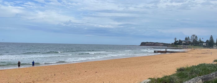 Collaroy Beach is one of Beached as.
