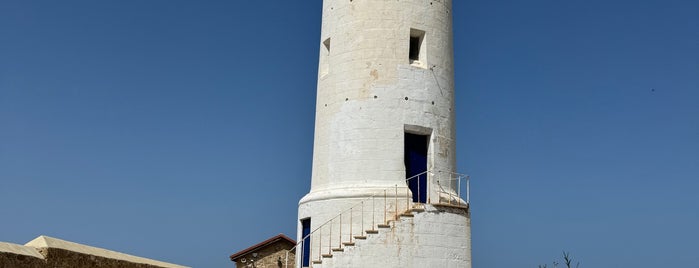 Paphos Lighthouse is one of สถานที่ที่บันทึกไว้ของ Spiridoula.