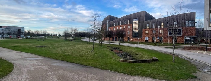 Department of Computer Science (CSE) is one of university of york.