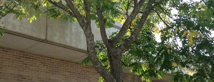 University Wisconsin-Stevens Point Library is one of Tempat yang Disukai Kirk.