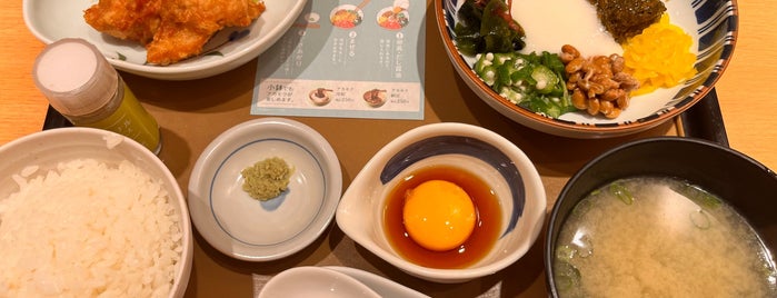 Yayoi is one of 飯屋.