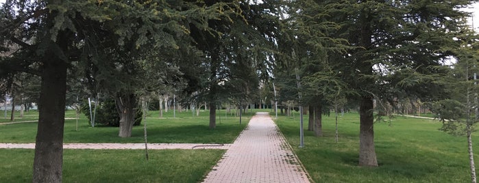 TPAO Site Parkı is one of Locais curtidos por Sinem.