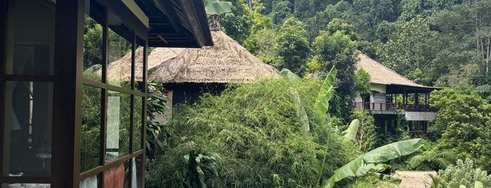 Ubud Hanging Garden is one of WORLDS BEST HOTELS..