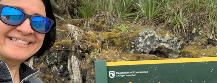 Rangitoto Volcanoe is one of Conocete Auckland.