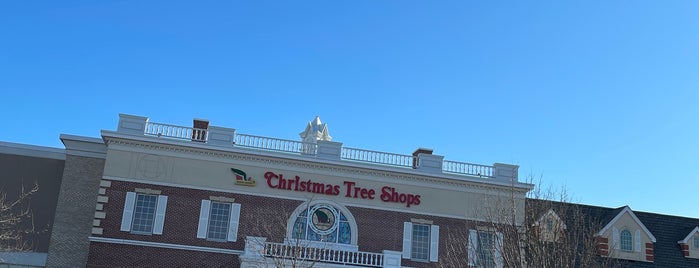 Christmas Tree Shops is one of The Next Big Thing.