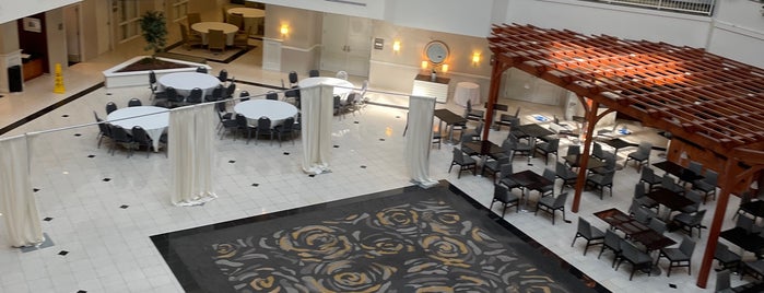 Embassy Suites by Hilton is one of Posti che sono piaciuti a MSZWNY.