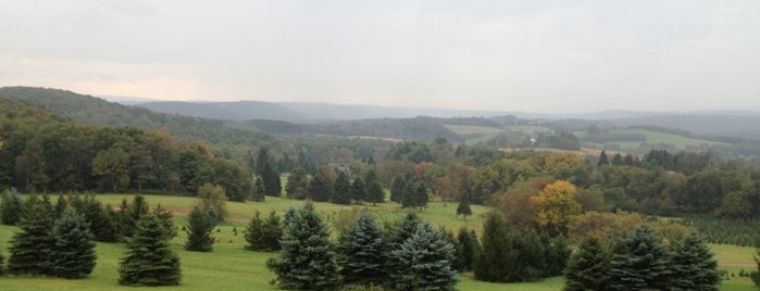 Laurel Hill State Park is one of Jeff's Saved Places.