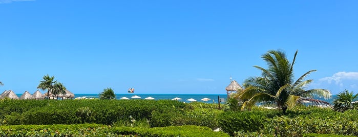 Secrets Playa Mujeres Golf & Spa Resort is one of Riviera Maya.