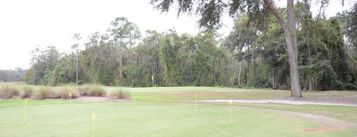 Fleming Island Golf Club is one of Lugares favoritos de Larissa.