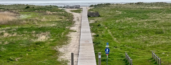 Hundestrand is one of Hundeausflüge.