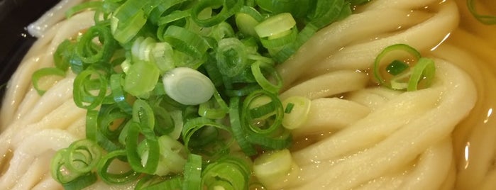 Maruka is one of うどん.