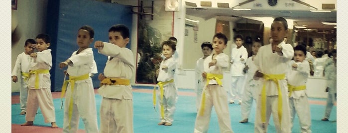 Karate Academy Doha is one of Qatar Gym'S.