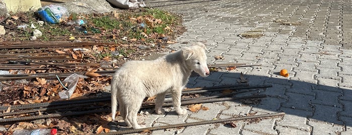 Gezende Kanyonu is one of Yapılacaklar Listesi.