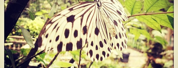 Butterfly Park (Taman Rama-Rama) is one of Jalan Kuala Lumpur.