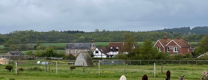 West Wight Alpacas is one of Isle of Wight.