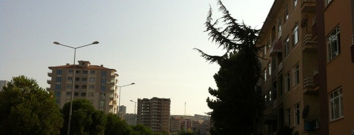 Denizevleri is one of Orte, die Sertuğ gefallen.
