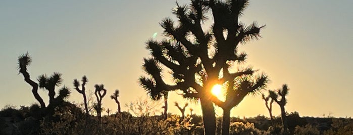 Joshua Tree National Park is one of Palm Springs.