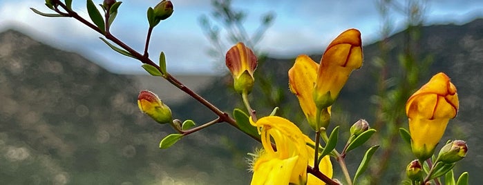 Lake Poway is one of San Diego | Max Swahn.