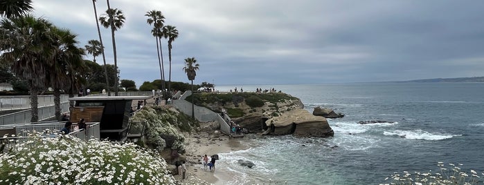 La Jolla Beach is one of California Trip.