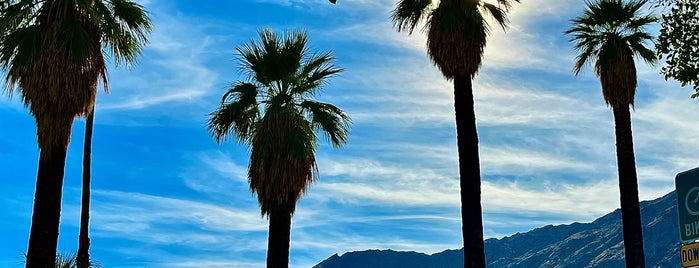 Le Vallauris is one of Palm Springs things to do.