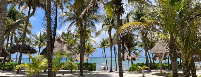 Playa Akumal is one of Yucatan.