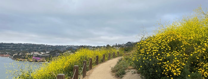 La Jolla Coastal Walk Trail is one of Visiting San Diego.