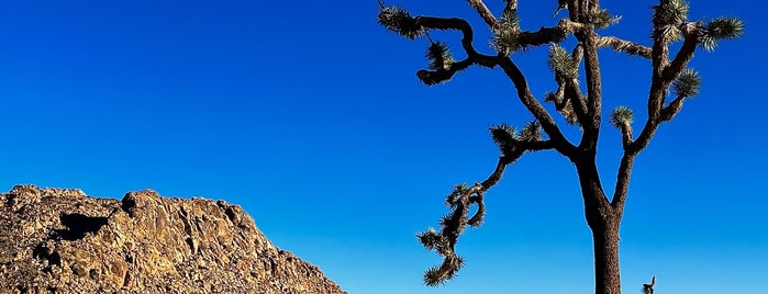 Joshua Tree National Park is one of Palm Springs.