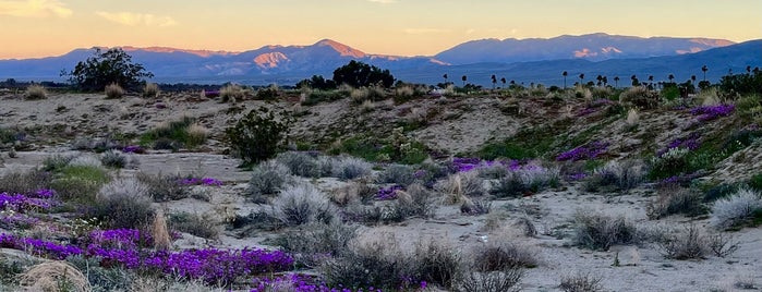 Borrego Springs is one of San Diego County Communities.