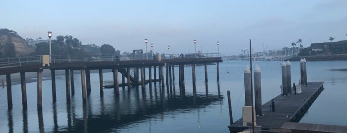 Dana Point Pier is one of California places 🇺🇸.