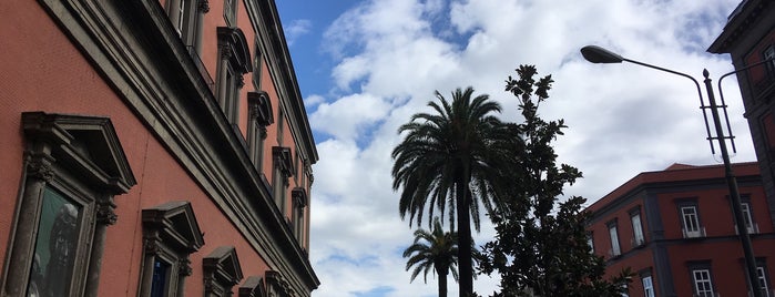 Museo Archeologico Nazionale is one of Napoli.