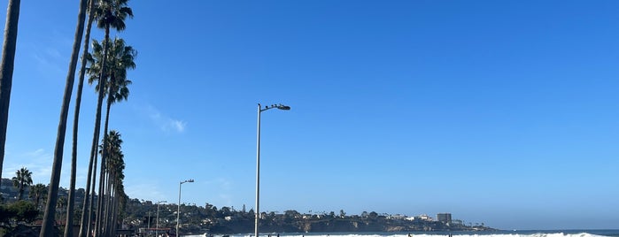 La Jolla Shores Beach is one of San diego.
