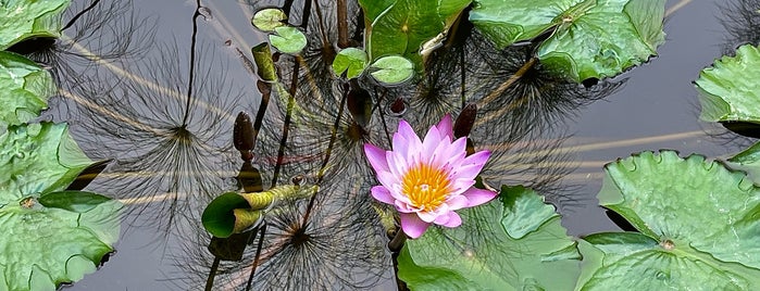 Lotus Land is one of Santa Barbara.