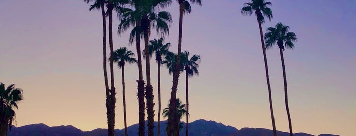 palm springs