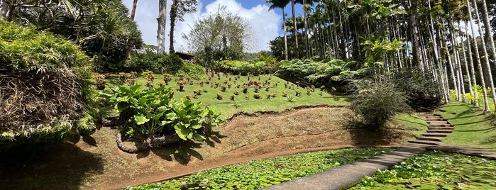 Jardin de Balata is one of Martinique & Guadeloupe.