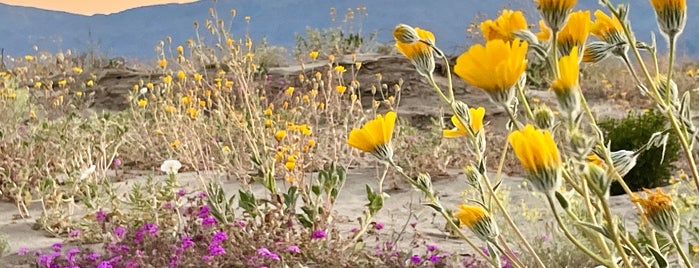 Borrego Springs is one of Desert Places.