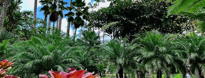 Jardin de Balata is one of Martinique.